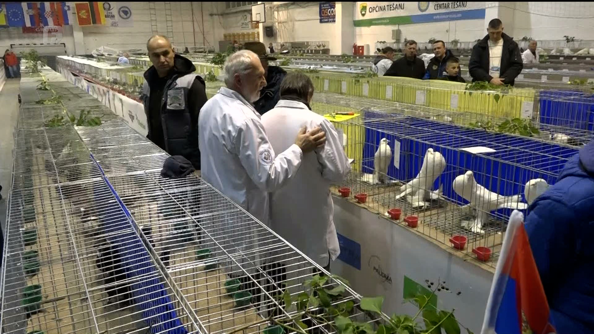 U Tešnju održana 14. državna izložba sitnih životinja i 5. evropska izložba balkanskih rasa golubova